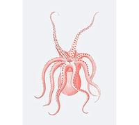Wee Blue Coo Living Coral Octopus Upside Down Unframed Wall Art Print Poster Home Decor Premium