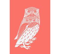 Wee Blue Coo Living Coral Owls Julie De Graag Large Wall Art Print Canvas Premium Poster