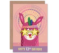Artery8 Llama Stars 13th Birthday Greetings Card in Pink Artery8 Pink