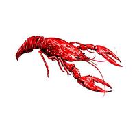 Wee Blue Coo Lobster Illustration Large Wall Art Print Canvas Premium Poster