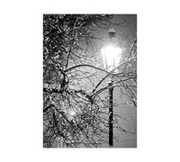 Wee Blue Coo Lonely Street Lamp Winter Night Black White Photo Picture Wall Art Print