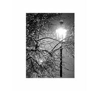 Wee Blue Coo Lonely Street LaWinter Night Black White Photo Art Canvas Print