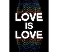 Wee Blue Coo Love Is Love Rainbow Retro Typography Premium Wall Art Canvas Print 18X24 Inch