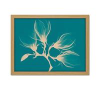 Wee Blue Coo Magnolia Branch Xray Blue Artwork Framed Wall Art Print 18X24 Inch
