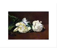 Wee Blue Coo Manet Still Life White Peony Old Master Wall Art Print