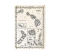 Wee Blue Coo Map Antique Colton Hawaii New Zealand Fiji Wall Art Print