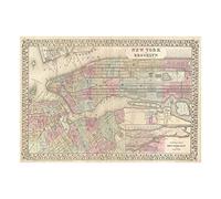Wee Blue Coo Map Antique Mitchell New York City Wall Art Print