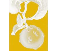 Wee Blue Coo Modern Bold Biodiversity Orange Plant Large Wall Art Poster Print Thick Paper 18X24 Inch