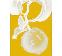 Wee Blue Coo Modern Bold Biodiversity Orange Plant Unframed Wall Art Print Poster Home Decor Premium