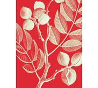 Wee Blue Coo Modern Bold Biodiversity Red Plant Unframed Wall Art Print Poster Home Decor Premium