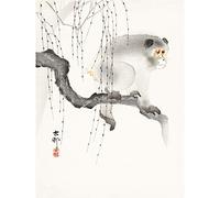Wee Blue Coo Monkey Tree Branch Ohara Koson Art Print Poster Wall Decor