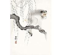 Wee Blue Coo Monkey Tree Branch Ohara Koson Unframed Art Print Poster Wall Decor 12x16 inch