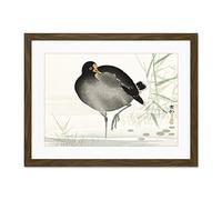 Wee Blue Coo Moorhen Bird Ohara Koson Large Framed Art Print Wall Poster 18x24 inch