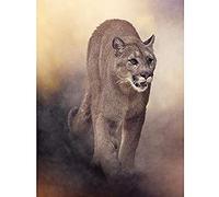 Wee Blue Coo Mountain Lion Cougar Illustration Art Print Canvas Premium Wall Decor Poster