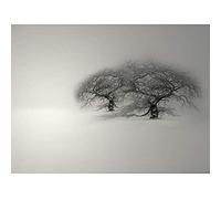 Wee Blue Coo Mp Composition Winter Scene Trees Snow Cold Frozen Frost Art Large Art Print Poster Wall Decor 18x24 inch