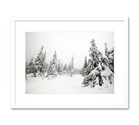 Wee Blue Coo Mp Photo Landscape Winter Scene Snow Forest Trees Picture Framed Wall Art Print