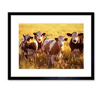 Wee Blue Coo NATURE AGRICULTURE FARM ANIMAL COW CATTLE FIELD FRAMED ART PRINT MOUNT B12X3926