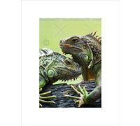 Wee Blue Coo Nature Animal Lizard Iguana Scales Spines Heads Wall Art Print