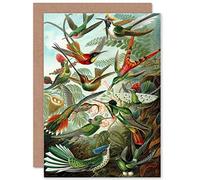 Wee Blue Coo NATURE BIOLOGY BIRD HUMMING ERNST HAECKEL GERMANY GREETINGS CARD