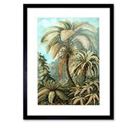 Wee Blue Coo Nature Biology Fern Ernst Haeckel Germany Framed Art Print Picture F12X605