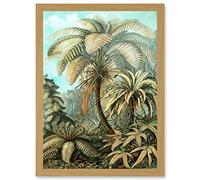 Nature Biology Ferns Ernst Haeckel botanical Vintage Artwork Framed Wall Art Print A4 Artery8 Light Oak One Size