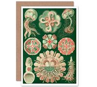 Wee Blue Coo NATURE ERNST HAECKEL BIOLOGY SEA CREATURE GERMANY GREETINGS CARD