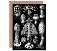 Wee Blue Coo NATURE ERNST HAECKEL FUNGUS MUSHROOM TOADSTOOL BIOLOGY GREETINGS CARD