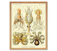 Wall Art Print Ernst Haeckel Octopus Squid Gamochonia Biology Sea Animal Nature Germany Vintage Art Framed Artery8 Light Oak W12 inch x H16 inch