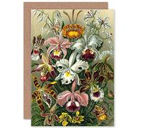 Wee Blue Coo NATURE ERNST HAECKEL PLANT FLOWER BIOLOGY GERMANY GREETINGS CARD