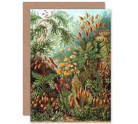 Wee Blue Coo NATURE ERNST HAECKEL SEA PLANT BIOLOGY BIRTHDAY BLANK GREETINGS CARD