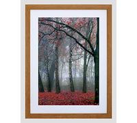 Wee Blue Coo NATURE FOREST TREE AUTUMN FALL BEAUTIFUL RED BLACK FRAMED ART PRINT B12X4042
