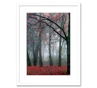 Wee Blue Coo Nature Forest Tree Autumn Fall Beautiful Red Framed Wall Art Print