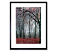 Wee Blue Coo Nature Forest Tree Autumn Fall Beautiful Red Framed Wall Art Print