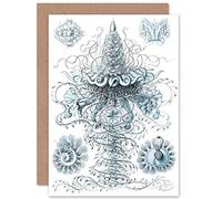 Wee Blue Coo NATURE JELLYFISH ERNST HAECKEL BIOLOGY BIRTHDAY BLANK GREETINGS CARD