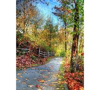 Wee Blue Coo Nature Landscape Cultural Forest Path Road Tree Art Print Poster Wall Decor 12X16 Inch