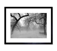 Wee Blue Coo Nature Landscape Forest Snow Fog Ice Winter Black White Framed Wall Art Print