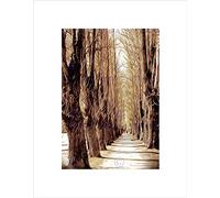 Wee Blue Coo NATURE LANDSCAPE TREE LANE SEPIA AUTUMN BLACK FRAMED ART PRINT B12X4034