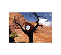 Wee Blue Coo Nature Monument Valley Arizona Desert Wall Art Print