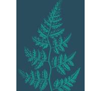 Wee Blue Coo Navy And Teal Fern Leaf Art Print Poster Wall Decor