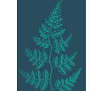 Wee Blue Coo Navy And Teal Fern Leaf Unframed Wall Art Print Poster Home Decor Premium