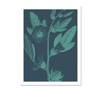 Wee Blue Coo Navy And Teal Flowers Large White Framed Art Print Wall Poster 18x24 inch