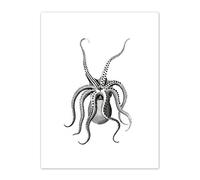 Wee Blue Coo Octopus Upside Down Illustration Art Print Canvas Premium Wall Decor Poster