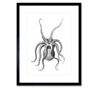 Wee Blue Coo Octopus Upside Down Illustration Art Print Framed Poster Wall Decor 12x16 inch