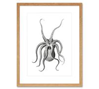 Wee Blue Coo Octopus Upside Down Illustration Art Print Framed Poster Wall Decor 9x7 inch