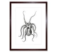 Wee Blue Coo Octopus Upside Down Illustration Art Print Framed Poster Wall Decor 9x7 inch