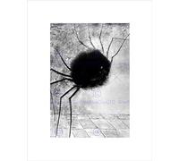 Wee Blue Coo Odilon Redon Laughing Spider Old Master Picture Wall Art Print