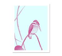 Wee Blue Coo Ohara Koson Lotus Kingfisher Large White Framed Art Print Wall Poster 18x24 inch
