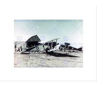 Wee Blue Coo OLD AVIATION AUSTRALIA 1ST SQUADRON FLYING CORPS FRAMED ART PRINT MOUNT B12X3796