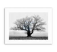 Wee Blue Coo Old Oak Tree Black White Mist Fog Picture Canvas Art Print