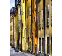 Wee Blue Coo Old Town Buildings Architecture Yellow Art Print Poster Wall Decor 12X16 Inch